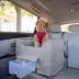Snoozer® Pet Products Luxury Lookout 2 Elevated Dog Car Seat  W/ Safety Strap, Palmer Dove image thumbnail 2