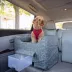Snoozer® Pet Products Luxury Lookout 2 Elevated Dog Car Seat  W/ Safety Strap, Palmer Indigo image thumbnail 2