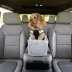 Snoozer® Pet Products Luxury Console Dog Car Seat W/ Microsuede Fabric & Safe Strap, Palmer Dove image thumbnail 2