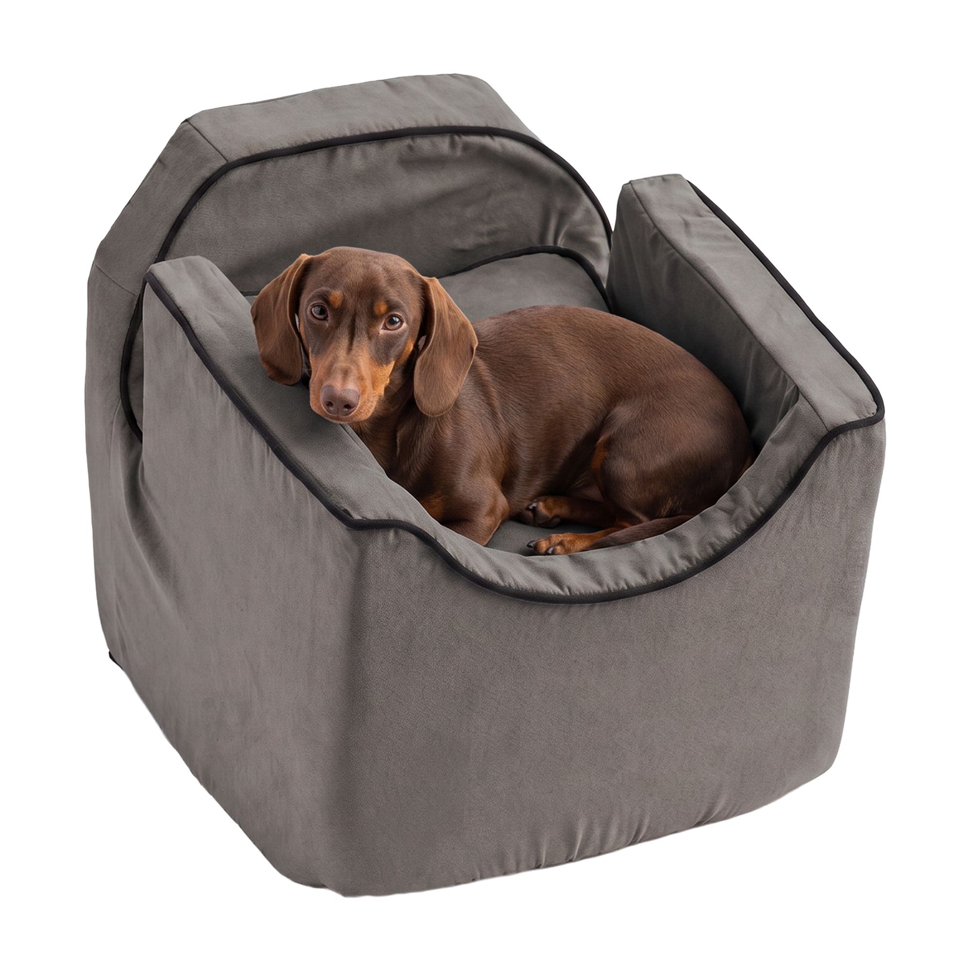 Snoozer® Pet Products Luxury Lookout 1 Elevated Dog Car Seat W/ Safety Strap, Anthracite