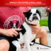 Warren London Gentle Touch Slicker Brush, Specially Made For Puppies W/ Sensitive Skin image thumbnail 3