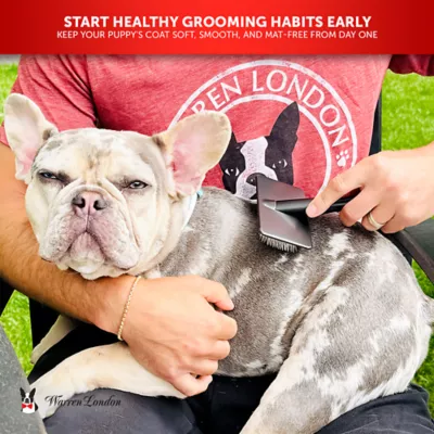 Warren London Gentle Touch Slicker Brush, Specially Made For Puppies W/ Sensitive Skin - Image 4