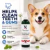 Warren London Doggy Dental Spray & Water Additive, Fights Tartar, Plaque & Gum Disease- 8 Fl Oz image thumbnail 4