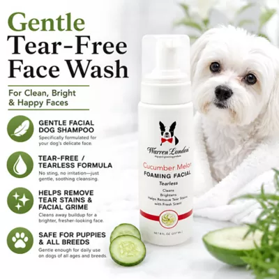 Warren London Cucumber Melon Foaming Facial For Dogs W/ Tearless Formula, Fresh Scented- 8 Fl Oz - Image 2