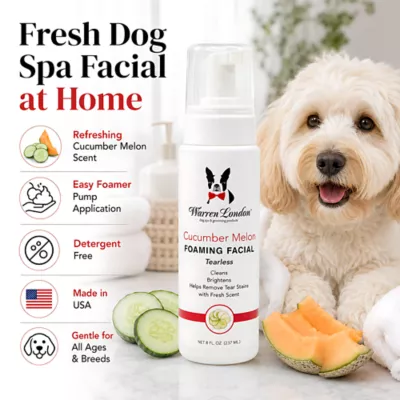 Warren London Cucumber Melon Foaming Facial For Dogs W/ Tearless Formula, Fresh Scented- 8 Fl Oz - Image 3