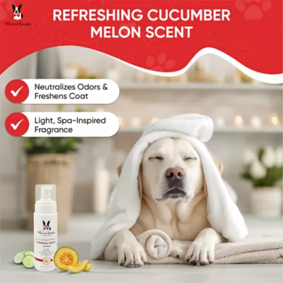 Warren London Cucumber Melon Foaming Facial For Dogs W/ Tearless Formula, Fresh Scented- 8 Fl Oz - Image 4