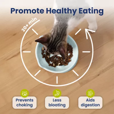 PawsPik Lynx Raised Ceramic Slow Feeder Food Bowl with 15-Degree Tilt for Dogs & Cats - Image 3