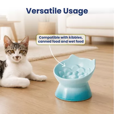 PawsPik Lynx Raised Ceramic Slow Feeder Food Bowl with 15-Degree Tilt for Dogs & Cats - Image 4