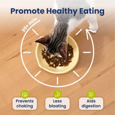 PawsPik Lynx Raised Ceramic Slow Feeder Food Bowl with 15-Degree Tilt for Dogs & Cats - Image 3