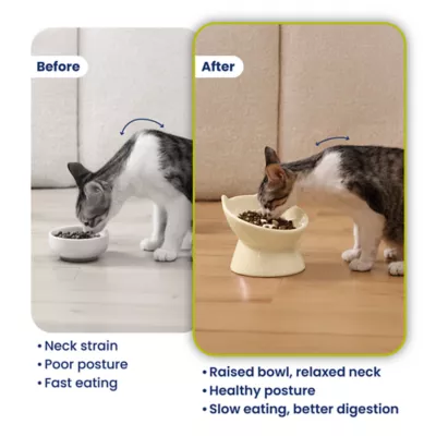 PawsPik Lynx Raised Ceramic Slow Feeder Food Bowl with 15-Degree Tilt for Dogs & Cats - Image 7