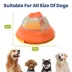 PawsPik Wireless Remote-Controlled Interactive Dog Treat Dispenser & Feeder, 66-ft Range image thumbnail 8