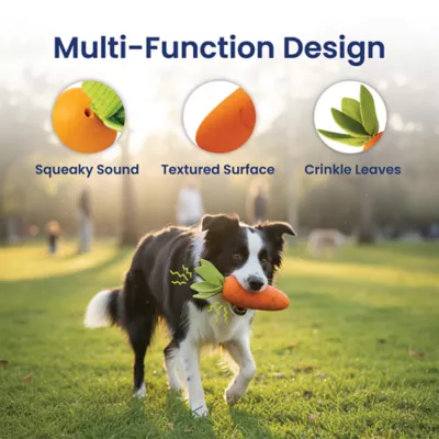 PawsPik Carrot Textured Natural Rubber Squeaker & Crinkle Dog Chew Toy, 9.5 in - Image 3
