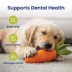 PawsPik Carrot Textured Natural Rubber Squeaker & Crinkle Dog Chew Toy, 9.5 in image thumbnail 5