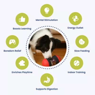 PawsPik Dual-Sphere Adjustable Treat-Dispensing Rolling Interactive Dog Toy - Image 2