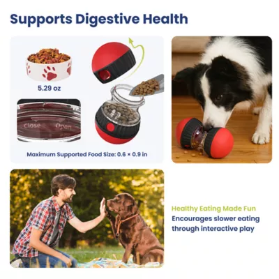 PawsPik Dual-Sphere Adjustable Treat-Dispensing Rolling Interactive Dog Toy - Image 5