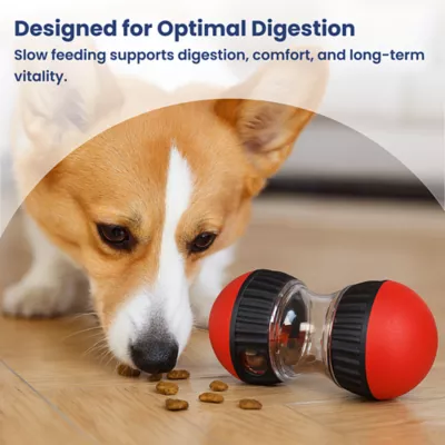 PawsPik Dual-Sphere Adjustable Treat-Dispensing Rolling Interactive Dog Toy - Image 6