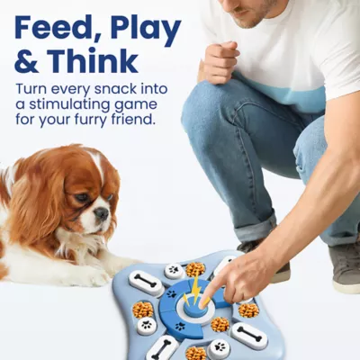 PawsPik Interactive Slow Feeder Treat-Dispensing Puzzle Dog Toy with Squeaker, 10 in - Image 7