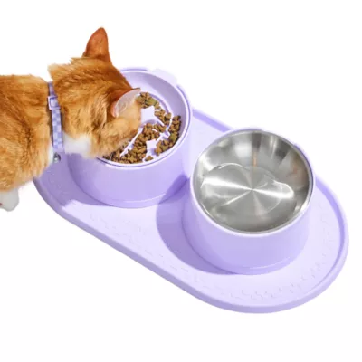 Wild One Slanted Cat Bowl, Lilac - Image 3