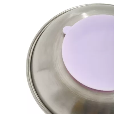 Wild One Slanted Cat Bowl, Lilac - Image 4