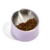 Wild One Slanted Cat Bowl, Lilac image thumbnail 5