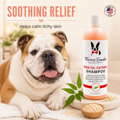 Warren London Neem Oil Oatmeal Shampoo For Dogs, Soothes & Relieves Itching, Insect Repellent- 17 Oz - Image 2