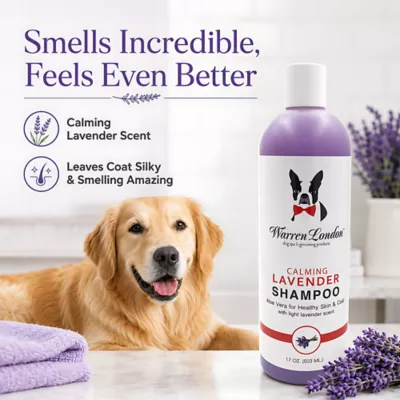 Warren London Calming Lavender Dog Shampoo W/ Aloe Vera & Essential Oils- 17 Fl Oz - Image 2