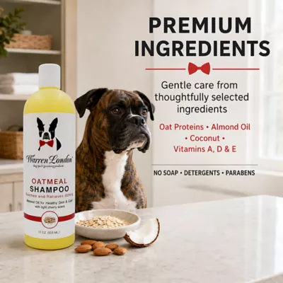 Warren London Oatmeal Shampoo For Dogs W/ Itchy & Sensitive Skin, Light Cherry Scent- 17 Fl Oz - Image 3