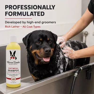 Warren London Oatmeal Shampoo For Dogs W/ Itchy & Sensitive Skin, Light Cherry Scent- 17 Fl Oz - Image 4