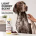 Warren London Oatmeal Shampoo For Dogs W/ Itchy & Sensitive Skin, Light Cherry Scent- 17 Fl Oz image thumbnail 5
