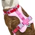 Wild One Adjustable Cushioned Dog Harness, Color and Size Vary image thumbnail 2