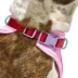 Wild One Adjustable Cushioned Dog Harness, Color and Size Vary image thumbnail 3