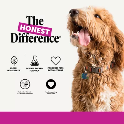 Pet Honesty 10-in-1 Multivitamin for Dogs with Omegas + Probiotics, Chicken Flavor Soft Chews, 90 Ct - Image 5