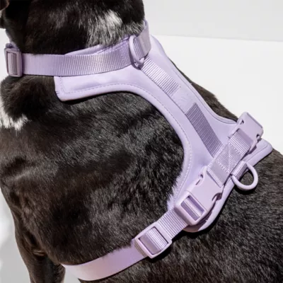 Wild One Adjustable Cushioned Dog Harness, Color and Size Vary - Image 2