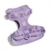 Wild One Adjustable Cushioned Dog Harness, Color and Size Vary image thumbnail 1