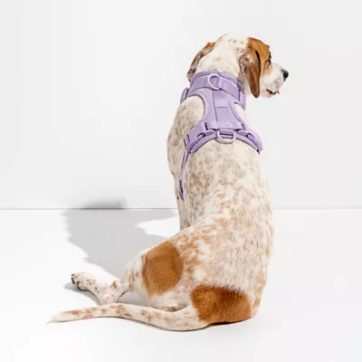 Wild One Adjustable Cushioned Dog Harness, Color and Size Vary - Image 3
