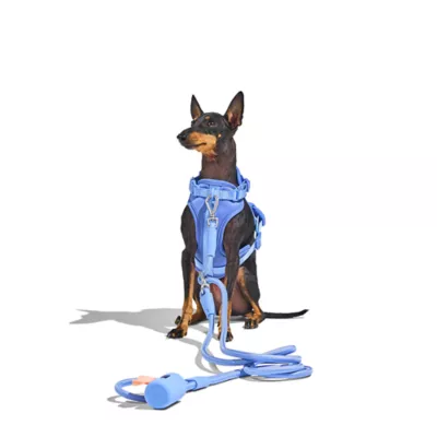 Wild One Adjustable Cushioned Dog Harness, Color and Size Vary - Image 3