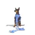 Wild One Adjustable Cushioned Dog Harness, Color and Size Vary image thumbnail 3