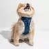 Wild One Adjustable Cushioned Dog Harness, Color and Size Vary image thumbnail 2