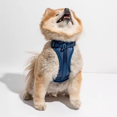 Wild One Adjustable Cushioned Dog Harness, Color and Size Vary - Image 2