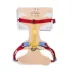 Wild One Adjustable Cushioned Dog Harness, Color and Size Vary image thumbnail 5