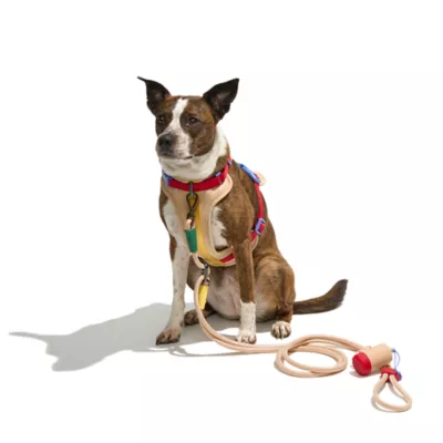Wild One Adjustable Cushioned Dog Harness, Color and Size Vary - Image 2