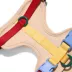 Wild One Adjustable Cushioned Dog Harness, Color and Size Vary image thumbnail 3