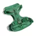 Wild One Adjustable Cushioned Dog Harness, Color and Size Vary image thumbnail 1