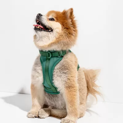 Wild One Adjustable Cushioned Dog Harness, Color and Size Vary - Image 3