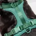 Wild One Adjustable Cushioned Dog Harness, Color and Size Vary image thumbnail 2