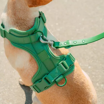 Wild One Adjustable Cushioned Dog Harness, Color and Size Vary - Image 4