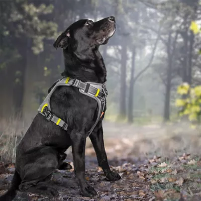 FIDA No Pull Dog Harness - Image 8