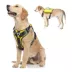 FIDA No Pull Dog Harness image thumbnail 9