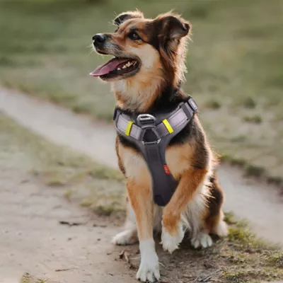 FIDA No Pull Dog Harness - Image 8
