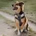 FIDA No Pull Dog Harness image thumbnail 8